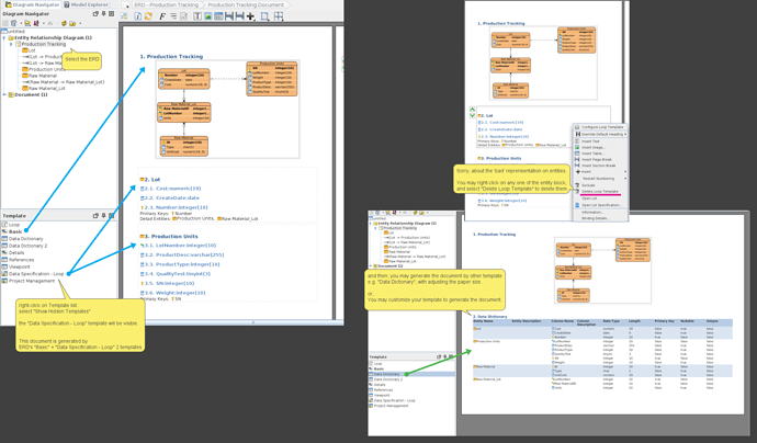 ERD-DataSpec-Customization