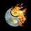 amirsalar_motevalli